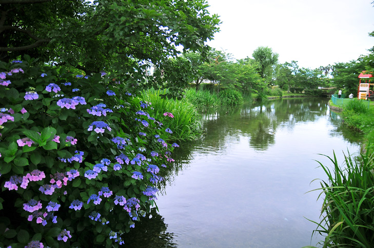 ひょこたん池公園