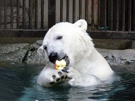 とべ動物園