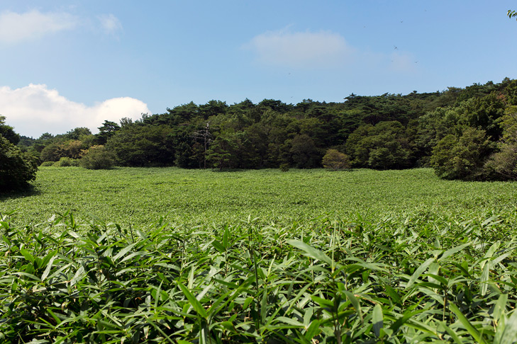 東温アルプス（皿ヶ嶺）